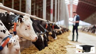 35 % des éleveurs ont un BTSA, contre 25 % des agriculteurs dans leur ensemble 35 % des éleveurs ont un BTSA, contre 25 % des agriculteurs dans leur ensemble