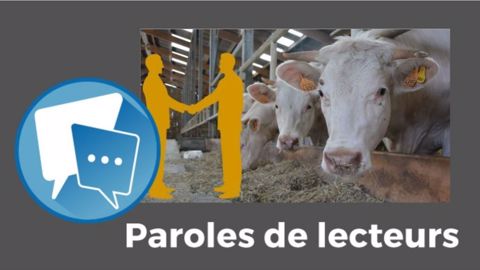  « La contractualisation pour avoir de meilleurs prix : ça vaut le coup d'essayer », selon certains lecteurs. (©Terre-net Média)