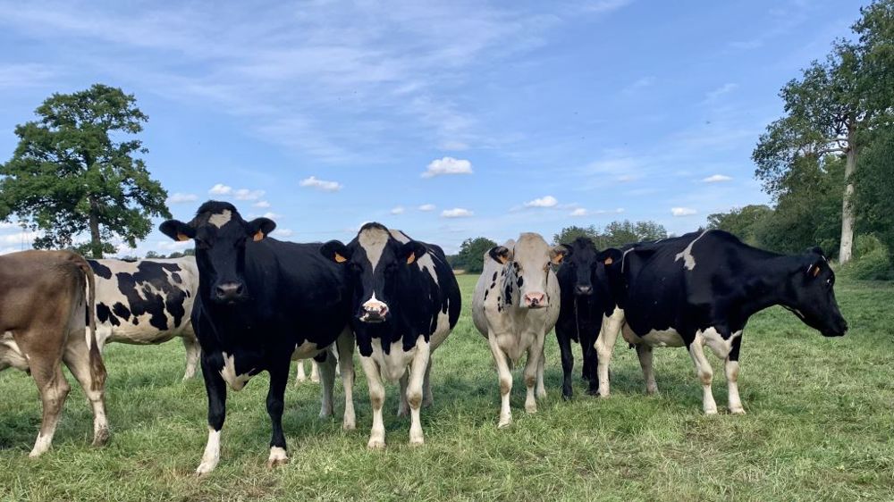 Le modèle de Biolait, qui vise la création de valeur à long terme, est menacé par les grands groupes coopératifs et privés, estime Boris Gondoin. (©Terre-net Média)