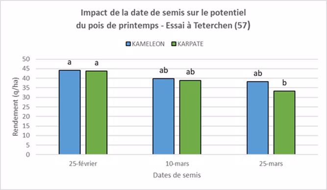 Impact de la date de semis sur le potentiel du pois de printemps