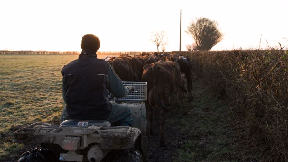 « Le pâturage tournant est un mode d'élevage qui a fait ses preuves, non seulement à l'autre bout du monde, mais aussi de l'autre côté de la Manche, au Pays de Galles. » (©Estelle Merlant)