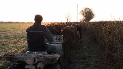 « Le pâturage tournant est un mode d'élevage qui a fait ses preuves, non seulement à l'autre bout du monde, mais aussi de l'autre côté de la Manche, au Pays de Galles. » (©Estelle Merlant) « Le pâturage tournant est un mode d'élevage qui a fait ses preuves, non seulement à l'autre bout du monde, mais aussi de l'autre côté de la Manche, au Pays de Galles. » (©Estelle Merlant)