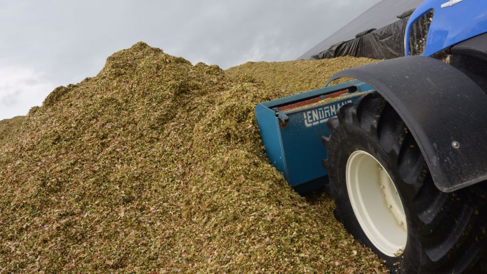 Attention aux mycotoxines de stockage qui se développent à partir de terre ou de débris végétaux dans le silo. (©Terre-net Média)