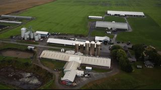 1400 vaches laitières et 28 robots de traite pour la ferme Landrynoise au Canada 1400 vaches laitières et 28 robots de traite pour la ferme Landrynoise au Canada