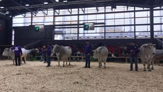 Nadal (Gaec Oihantxoko - 64) remporte le concours Gascon Nadal (Gaec Oihantxoko - 64) remporte le concours Gascon