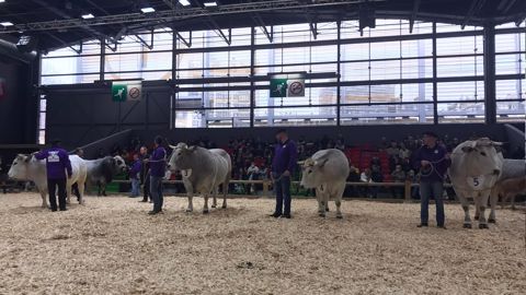 Nadal (Gaec Oihantxoko - 64) remporte le concours Gascon Nadal (Gaec Oihantxoko - 64) remporte le concours Gascon