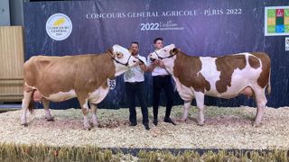 Harlem et Ontario, les deux championnes du concours Simmental Harlem et Ontario, les deux championnes du concours Simmental