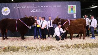 Avec Nicky et Marilou, l'Auvergne domine le concours Salers Avec Nicky et Marilou, l'Auvergne domine le concours Salers