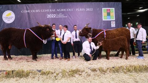 Avec Nicky et Marilou, l'Auvergne domine le concours Salers Avec Nicky et Marilou, l'Auvergne domine le concours Salers