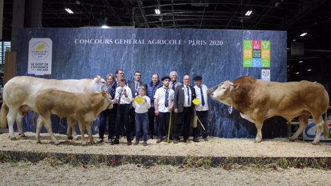 Minette et Pompidou à la tête du concours Blonde d'Aquitaine Minette et Pompidou à la tête du concours Blonde d'Aquitaine
