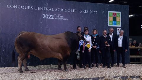 Marquis et Illico sur le podium du concours Parthenais Marquis et Illico sur le podium du concours Parthenais