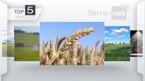 Articles les plus lus sur Terre-net cette semaine. (©Terre-net Média)