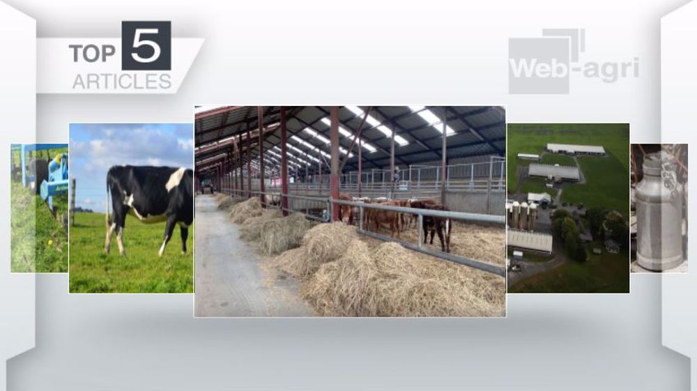 Articles les plus lus sur Web-agri cette semaine. (©Terre-net Média)