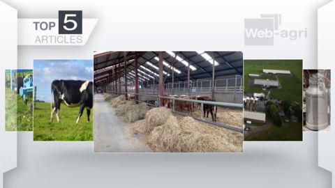 Articles les plus lus sur Web-agri cette semaine. (©Terre-net Média)