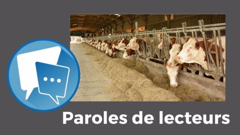 Se Bastien, fataliste : « on est pas prêt de voir des prix du lait rémunérateurs ! » (©Terre-net Média)