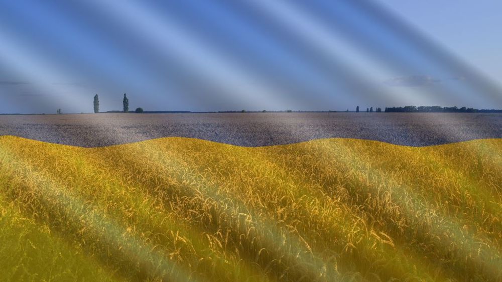 Comment la guerre en Ukraine va-t-elle bouleverser les marchés agricoles ? (©Pixabay/Terre-net Média)