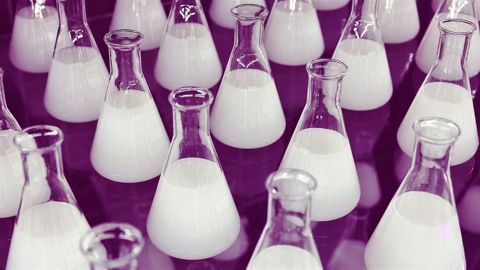 La teneur en acide gras du lait nous renseigne sur la santé du rumen mais nous donne aussi des alertes "non nutritionnelles" sur la santé globale des animaux. (©CC) La teneur en acide gras du lait nous renseigne sur la santé du rumen mais nous donne aussi des alertes "non nutritionnelles" sur la santé globale des animaux. (©CC)