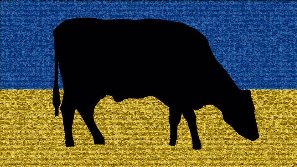 L'Ukraine et la Russie représentent 2,6 % des exportations en produits laitiers de l'Europe à 27. (©Terre-net Média)