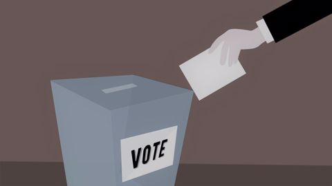 Emmanuel Macron serait en tête des intentions de vote des agriculteurs, d'après le dernier baromètre de la FNSEA. (©Pixabay) Emmanuel Macron serait en tête des intentions de vote des agriculteurs, d'après le dernier baromètre de la FNSEA. (©Pixabay)