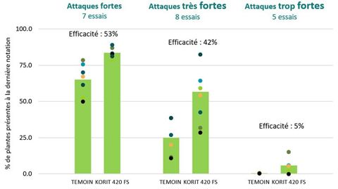 Efficacité du Korit 420FS contre les dégâts de corvidés sur maïs - Synthèse de 20 essais réalisés par ARVALIS [2011 - 2023]
