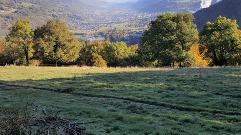 Les agriculteurs peuvent cultiver, faire faucher ou pâturer leurs jachères. (©Terre-net Média)