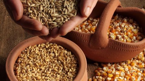 La guerre en Ukraine entraîne « un potentiel de baisse sur l’ensemble des céréales » consommées en alimentation animale sur 2021/22, selon l'analyste Benoît Fayaud (©AdobeStock)