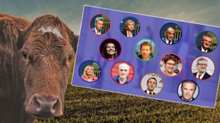 Si les candidats à la présidentielle étaient des vaches, seraient-ils une Gasconne, une Pie Noire, une Normande... ? (©Terre-net Média/Pixabay) Si les candidats à la présidentielle étaient des vaches, seraient-ils une Gasconne, une Pie Noire, une Normande... ? (©Terre-net Média/Pixabay)