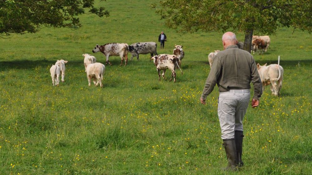 À quel âge envisagez-vous de partir à la retraite ? Dites-nous en commentaires ! (©Terre-net Média)