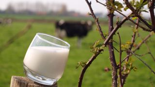 Augmenter les produits et/ou réduire les charges : ce sont les deux leviers à actionner en faveur de la marge. (©Seenorest) Augmenter les produits et/ou réduire les charges : ce sont les deux leviers à actionner en faveur de la marge. (©Seenorest)