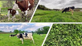 Des éleveurs qui guettent la pluie Des éleveurs qui guettent la pluie