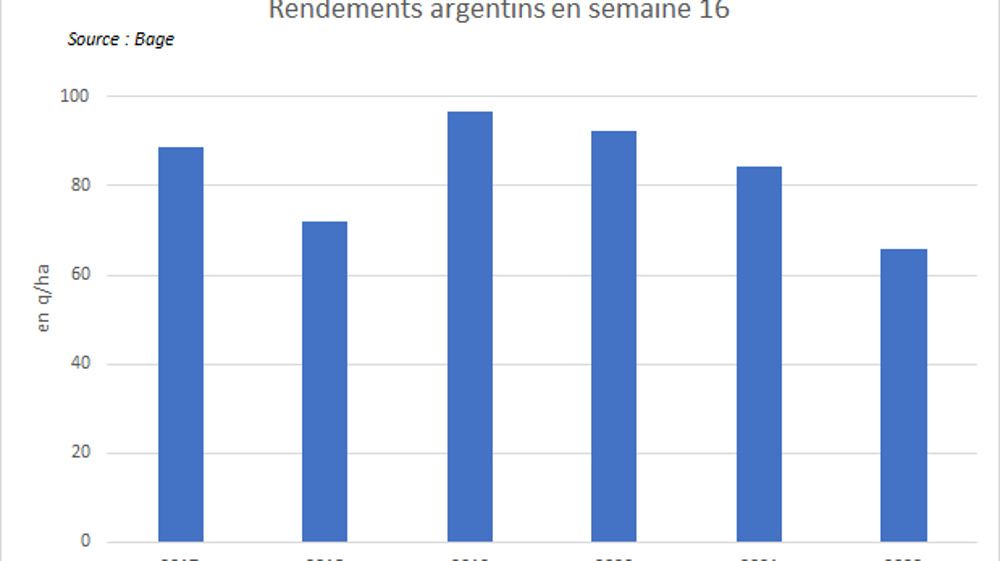 Les rendements argentins sont au plus bas.