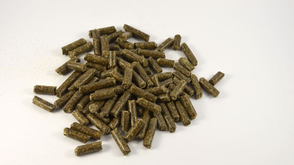 Le prix du tourteau de tournesol a atteint des sommets à la mi-mars. (©AdobeStock)