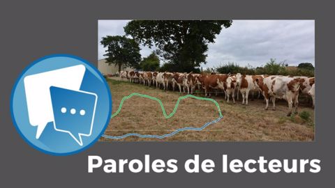   Pour Gérald Mestre, le prix du lait bio se replie parce qu'il y a « surproduction ».  (©Terre-net Média)