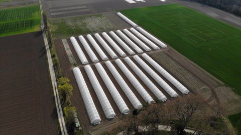 En photo, les serres dédiées aux légumes secs, sur le siège social de Pro Pulse, situé à Montboucher-sur-Jabron (Drôme). (©Pro Pulse)