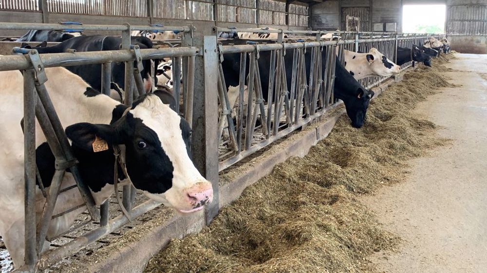 Difficile de faire des projections pour les années à venir car elles sont dépendantes du contexte international et de la spéculation sur les marchés des matières premières, qui peuvent évoluer en quelques jours. (©Terre-net Média)