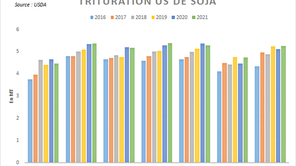 Trituration américaine de soja.