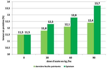 Graphique 2: Effet de la date du troisième apport tardif d’azote en blé tendre sur le rendement et la protéine (n. Hege, LfL Bayern)