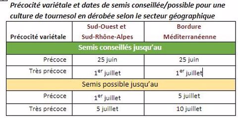 Précocité variétale et dates de semis conseillée/possible pour une culture de tournesol en dérobée selon le secteur géographique
