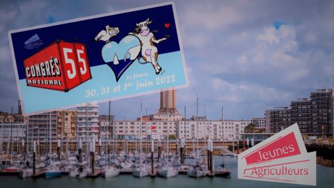 Le prochain congrès de Jeunes agriculteurs se déroulera au Havre (76) à la fin du mois. (©JA, Pixabay) Le prochain congrès de Jeunes agriculteurs se déroulera au Havre (76) à la fin du mois. (©JA, Pixabay)