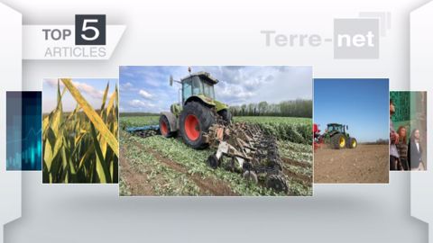 Articles les plus lus sur Terre-net cette semaine. (©Terre-net Média)