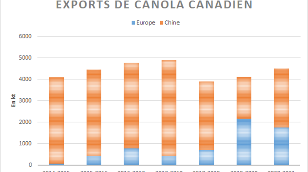 Exports de canola canadiens vers la Chine et l'UE.