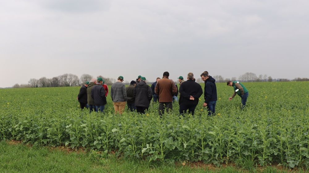 Et vous ? Faites-vous partie d'un groupe technique agricole ? N'hésitez pas à partager votre expérience dans les commentaires en-dessous de l'article. (©Terre-net Média)