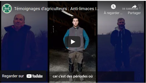 vidéos