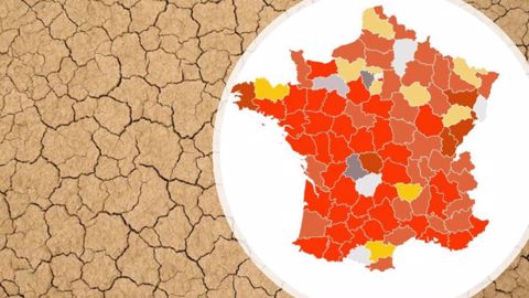 Retrouvez la carte sur les arrêtés de restriction de l'usage de l'eau mise à jour le 26 juillet 2022. (©Terre-net Média) (©Adobe Stock) Retrouvez la carte sur les arrêtés de restriction de l'usage de l'eau mise à jour le 26 juillet 2022. (©Terre-net Média) (©Adobe Stock)