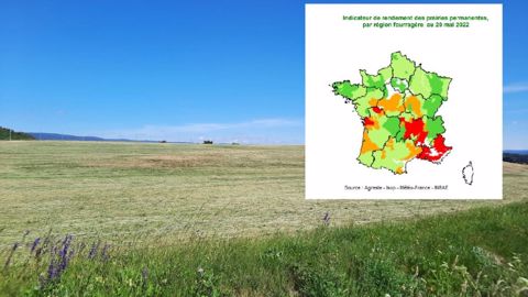 La sécheresse ralentit la pousse, la situation se détériore dans le sud-est La sécheresse ralentit la pousse, la situation se détériore dans le sud-est