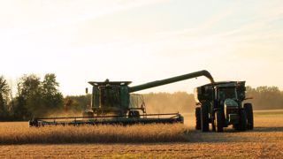 À l'occasion des conférences marchés mondiaux de la viande organisées par l'Institut de l'élevage, Laurent Houis, directeur de Solteam, revient sur la diminution de l'offre en soja non OGM. (©Pixabay) À l'occasion des conférences marchés mondiaux de la viande organisées par l'Institut de l'élevage, Laurent Houis, directeur de Solteam, revient sur la diminution de l'offre en soja non OGM. (©Pixabay)