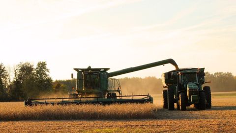 À l'occasion des conférences marchés mondiaux de la viande organisées par l'Institut de l'élevage, Laurent Houis, directeur de Solteam, revient sur la diminution de l'offre en soja non OGM. (©Pixabay) À l'occasion des conférences marchés mondiaux de la viande organisées par l'Institut de l'élevage, Laurent Houis, directeur de Solteam, revient sur la diminution de l'offre en soja non OGM. (©Pixabay)