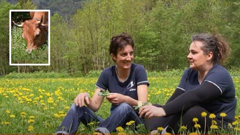 Un parrainage spécifique pour accueillir les nouveaux producteurs