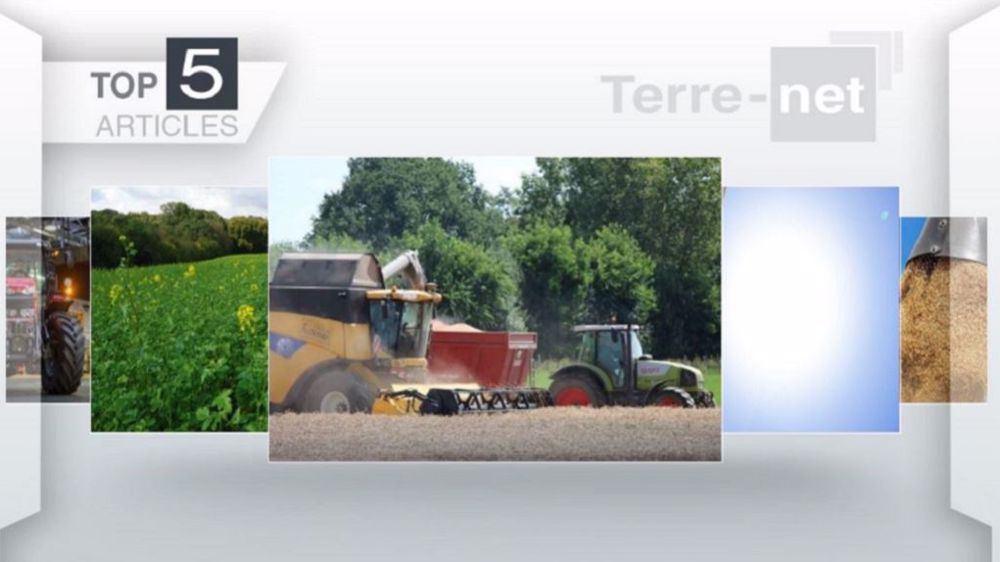  Articles les plus lus sur Terre-net cette semaine. (©Terre-net Média)