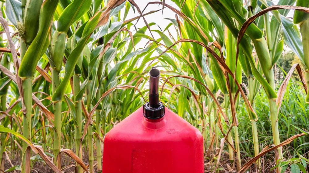 La production mondiale de biocarburants a été multipliée par neuf entre 2000 et 2020 (©AdobeStock)